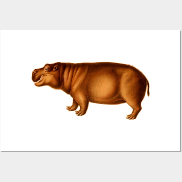 Hippopotamus naturalistic vintage art Wall Art by Marccelus